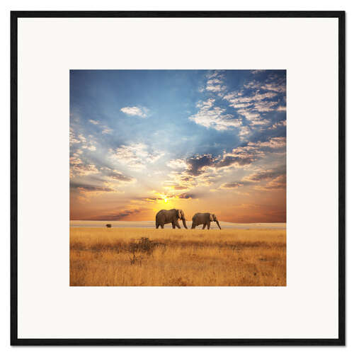 Ingelijste kunstdruk Elephants on tour