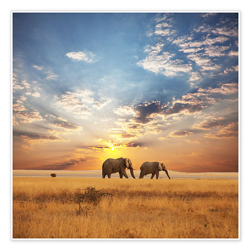 Poster Elefanti nella savana