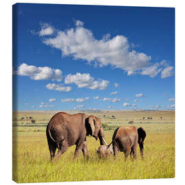 Canvas-taulu  elephant family