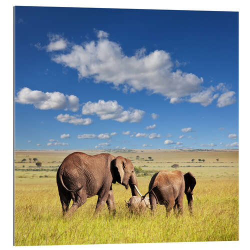 Gallery print elephant family