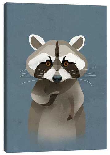 Obraz na płótnie Racoon