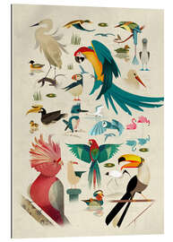 Tableau en plexi-alu Oiseaux