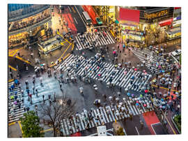 Aluminium print Pedestrian cross a street in Tokyo Shibuya