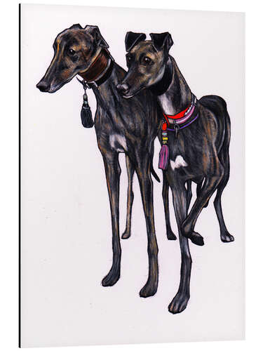 Aluminium print Brindle greyhounds