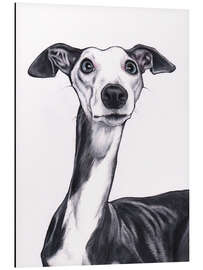 Aluminium print Whippet, blue and white