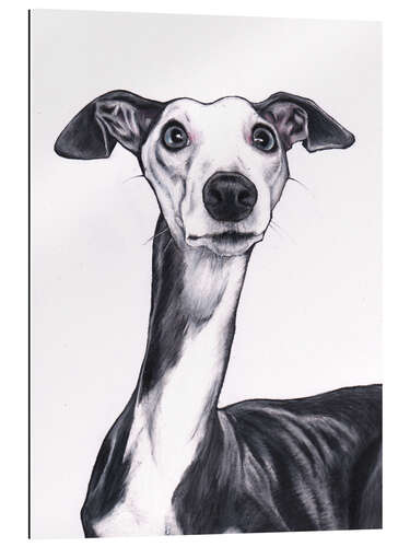 Galleriprint Whippet, blå og hvit