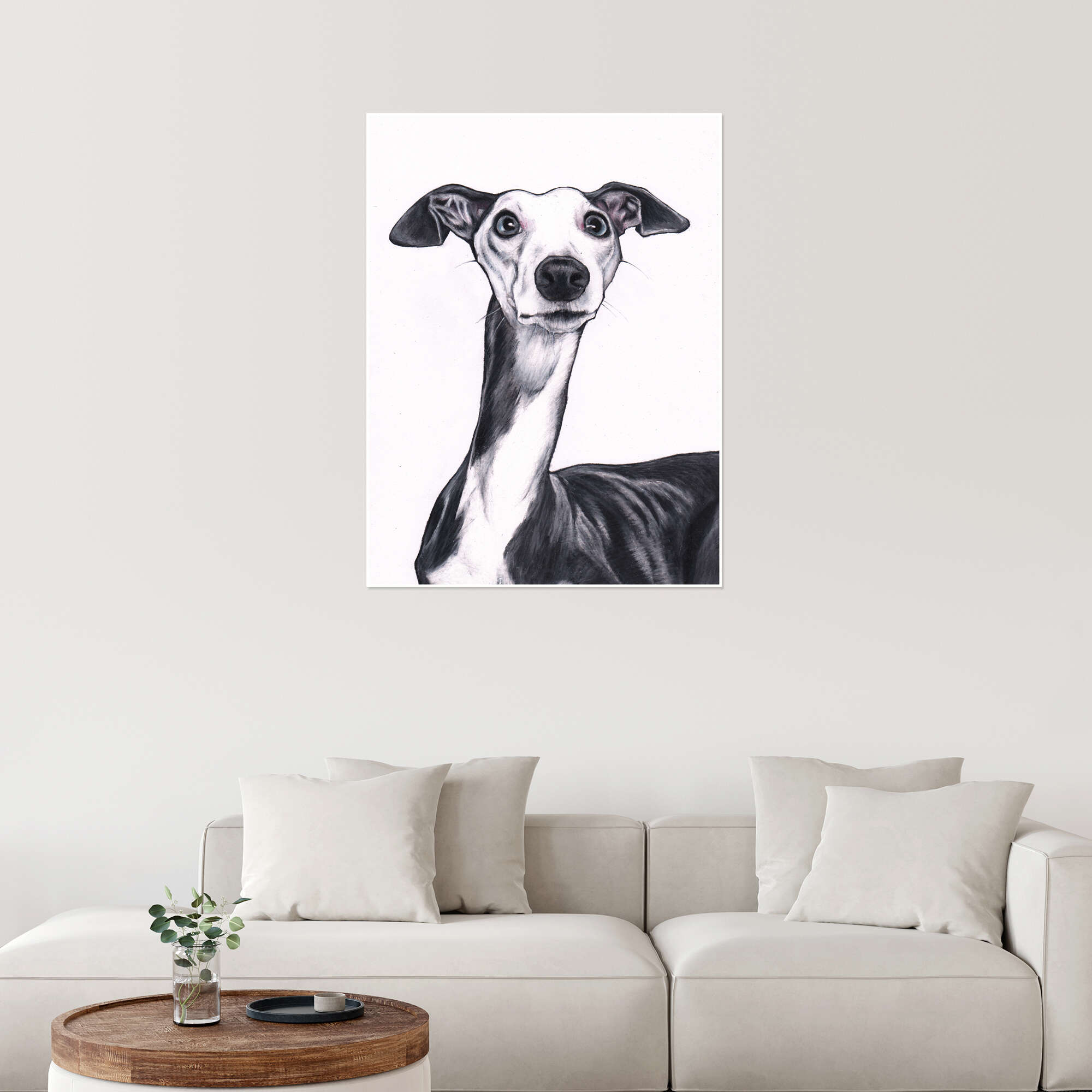 chien whippet noir et blanc