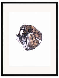 Gerahmter Kunstdruck Whippet entspannt