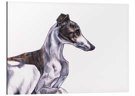 Obraz na aluminium Whippet illustration, colour pencil drawing