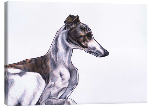 Canvas print Whippet illustration, colour pencil drawing