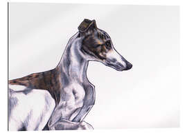 Gallery print Whippet illustration, colour pencil drawing