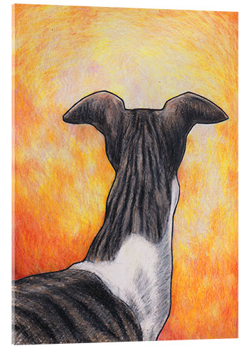 Acrylglas print Greyhound drawing