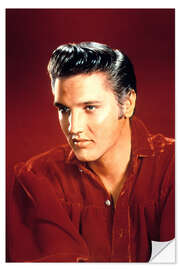 Sisustustarra Elvis Presley I