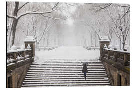 Alubild  Winter im Central Park