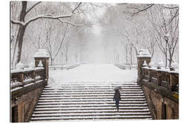 Tableau en plexi-alu L&#039;hiver à Central Park