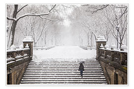 Tableau  L&#039;hiver à Central Park