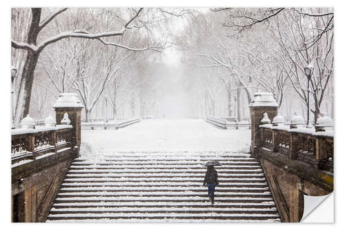 Selvklebende plakat Vinter i Central Park