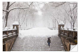 Selvklebende plakat Vinter i Central Park