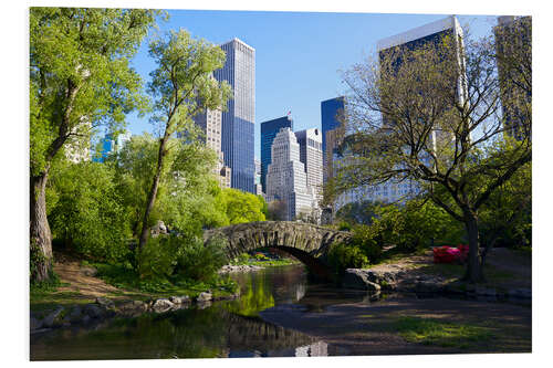 PVC print Central Park and Manhattan skyline