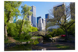 Foam board print Central Park and Manhattan skyline