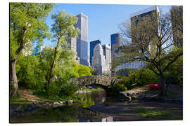 Magnettafel Central Park und die Skyline von Manhattan
