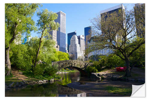 Selvklebende plakat Central Park and Manhattan skyline