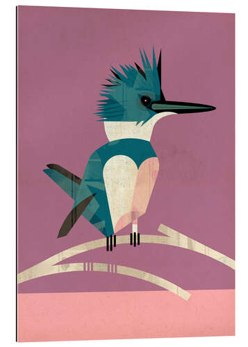 Gallery print Kingfisher