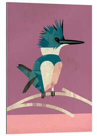 Gallery print Kingfisher