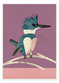 Wall print  Kingfisher - Dieter Braun