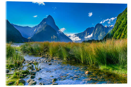 Akryylilasitaulu Milford Sound New Zealand