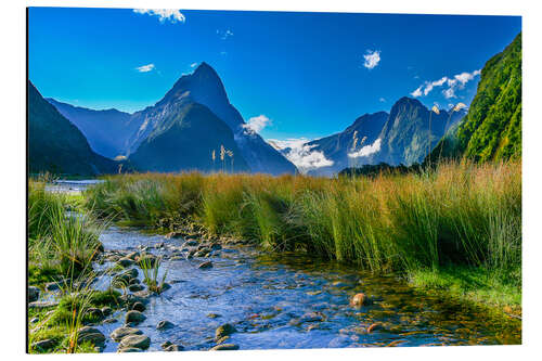 Aluminium print Milford Sound New Zealand