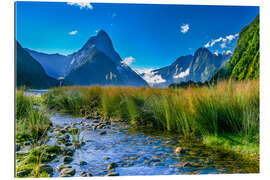 Gallery Print Milford Sound Neuseeland