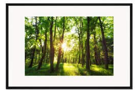 Gerahmter Kunstdruck Frühling in den Wäldern