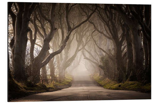 Tableau en aluminium The Dark Hedges