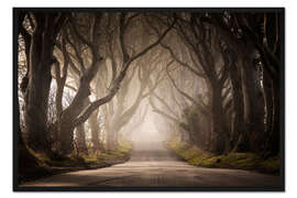 Gerahmter Kunstdruck The Dark Hedges