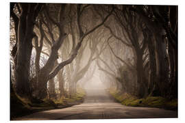 Foam board print The Dark Hedges