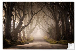 Selvklebende plakat The Dark Hedges