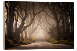 Trätavla The Dark Hedges