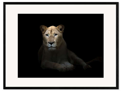 Impression artistique encadrée Lionne blanche dans la nuit