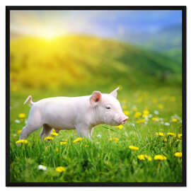 Gerahmter Kunstdruck Schweinchen Spaziergang