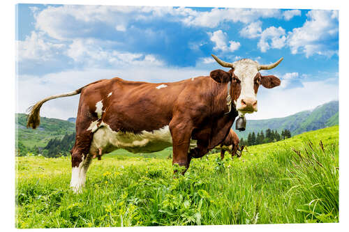 Acrylic print pastures luck