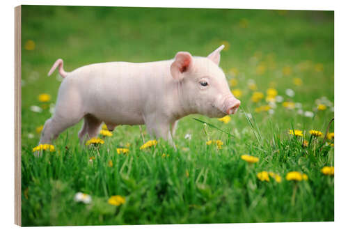 Hout print Piglets on a spring meadow