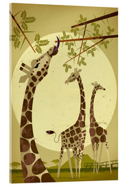 Acrylglasbild  Giraffen - Dieter Braun