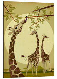 Stampa su alluminio Giraffes