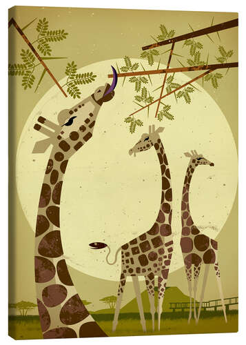 Tableau sur toile Girafes