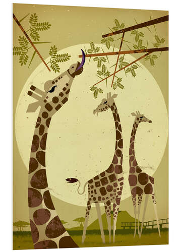 Foam board print Giraffes