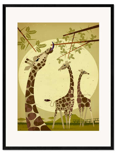 Gerahmter Kunstdruck Giraffen