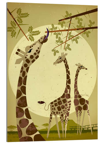 Gallery Print Giraffen