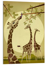 Gallery print Giraffes