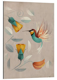 Aluminium print Humming-bird